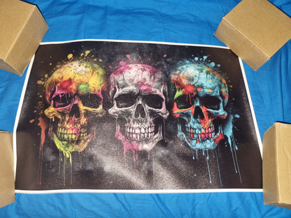 Colourful skull art canvass
