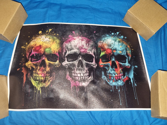 Colourful skull art canvass